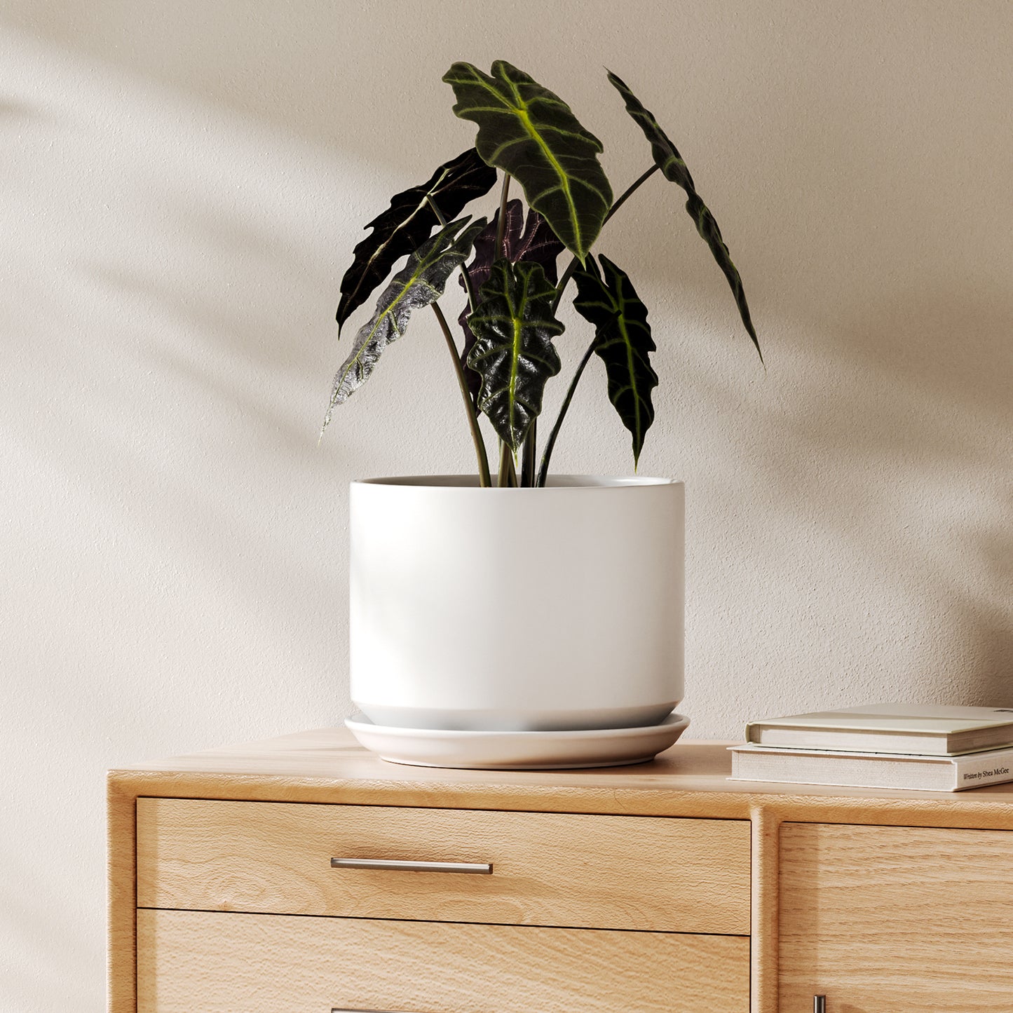 BEMAY 8 Inch Plant Pot for Indoor Plants, Ceramic Planter Pot with Drainage Hole and Attached Saucer, White Tabletop Flower Pot for Herbs, Succulents and Houseplants, Plant Not Included