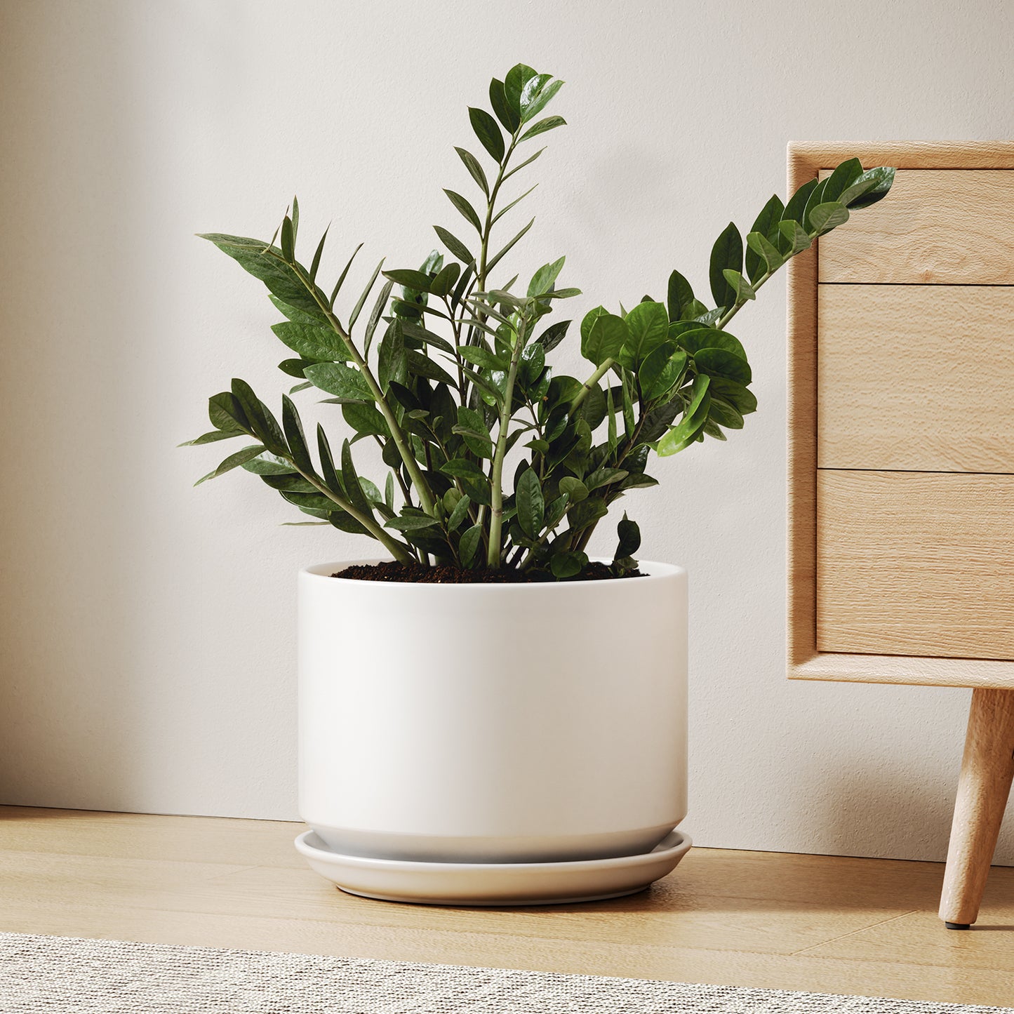 BEMAY 10 Inch Large Plant Pot for Indoor Plants, Ceramic Planter Pot with Drainage Hole and Attached Saucer, White Floor Planter for Snake Plants, Monstera and Houseplants, Plant Not Included