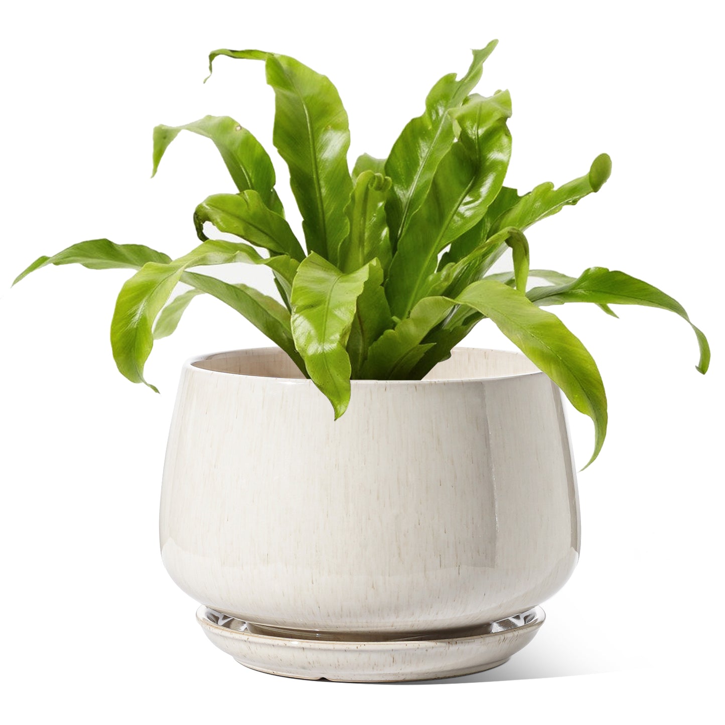 BEMAY 10 Inch Warm White Ceramic Plant Pot with Drainage Hole and Saucer, Textured Round Planter for Indoor Outdoor Plants, Flowers, Houseplants