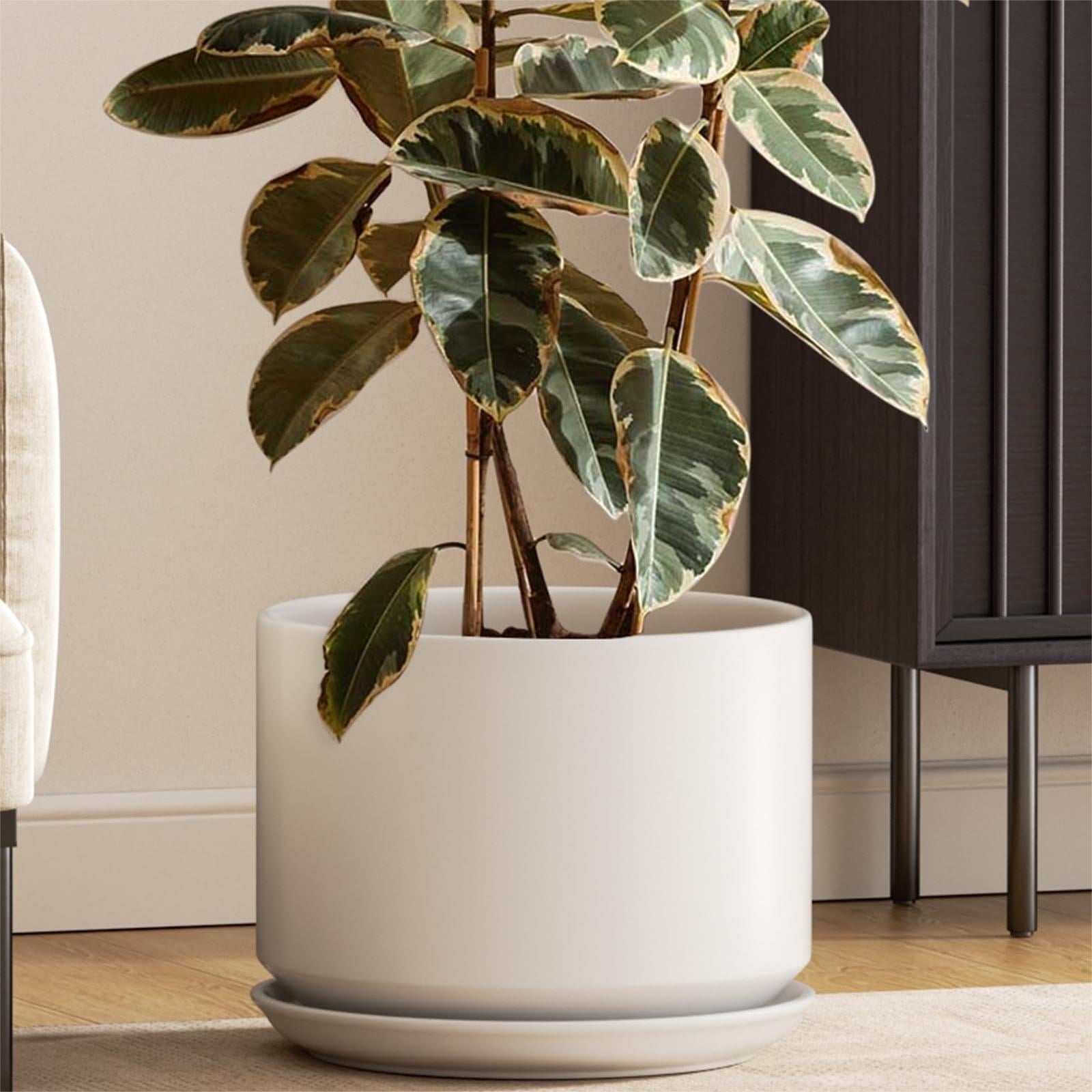 indoor pot plants large BEMAY 12 inch Ceramic Plant Pot with Drainage Hole and Saucer, White Planter for Indoor Plants, Decorative Flower Pot for Home and Office