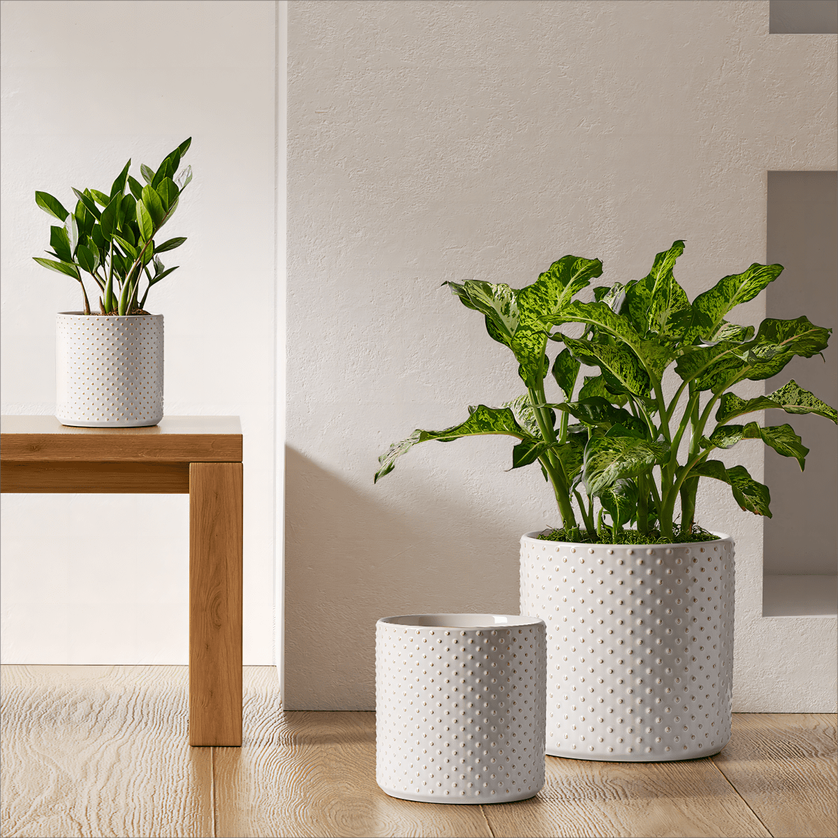 10 inch pots for plants BEMAY 6+8+10 inch Plant Pots, Ceramic Flower Pots for Plants, Raised Dots Planter Pots for Home/Office, Mid-Modern Century Pots with Drainage Hole and