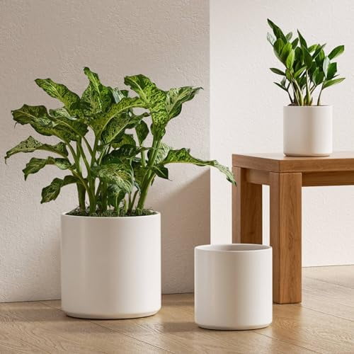 6 inch indoor plant pot BEMAY Ceramic Plant Pots, 10+8+6 inch Indoor Planters with Drainage Hole and Plug for Home Office Planters, Pack of 3 Modern Flower Pots, White