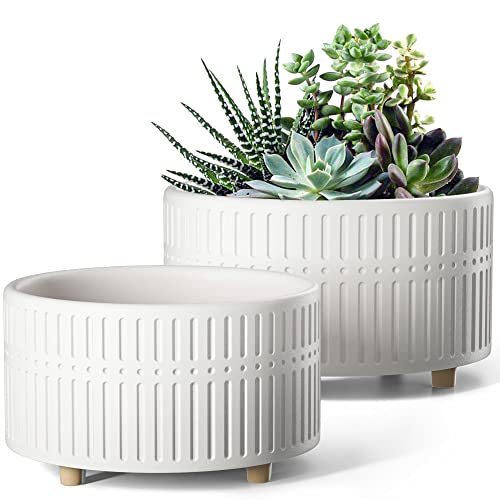 white succulent pots BEMAY Succulent Pots, 6.5+8 inch Ceramic Plant Pots with Drainage Hole