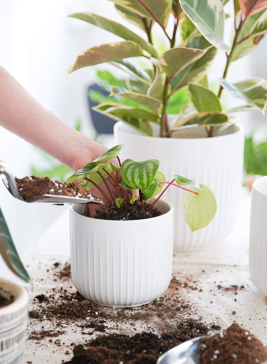BEMAY Set of 3 Pots for Plants, 8.3+6.9+5.7 inch Ceramic Plant Pots, Flower Pots with Drainage Holes, Medium Cylinder Planters Pot for Indoor House Plants, Set of 3,White