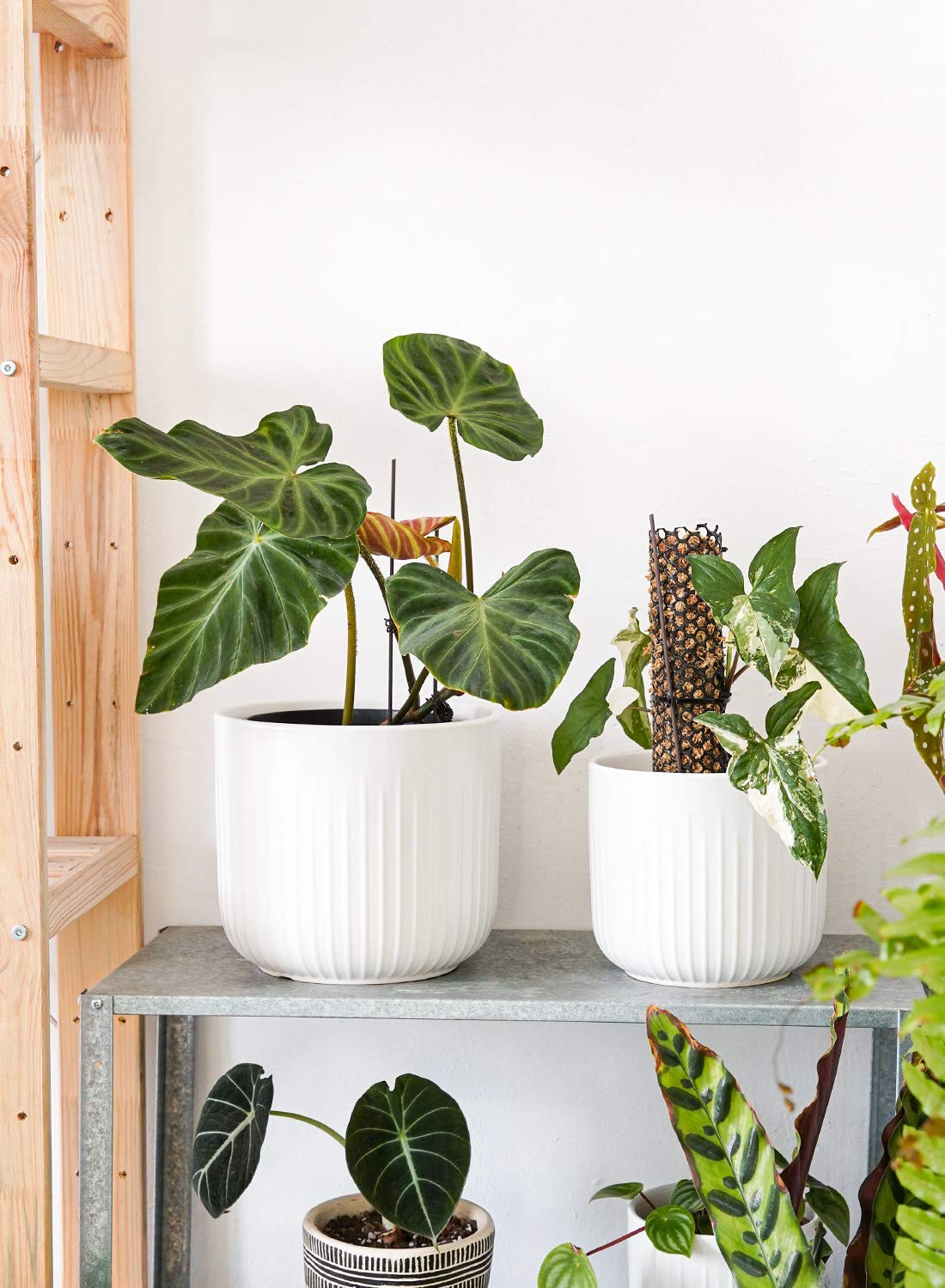 BEMAY Set of 3 Pots for Plants, 8.3+6.9+5.7 inch Ceramic Plant Pots, Flower Pots with Drainage Holes, Medium Cylinder Planters Pot for Indoor House Plants, Set of 3,White