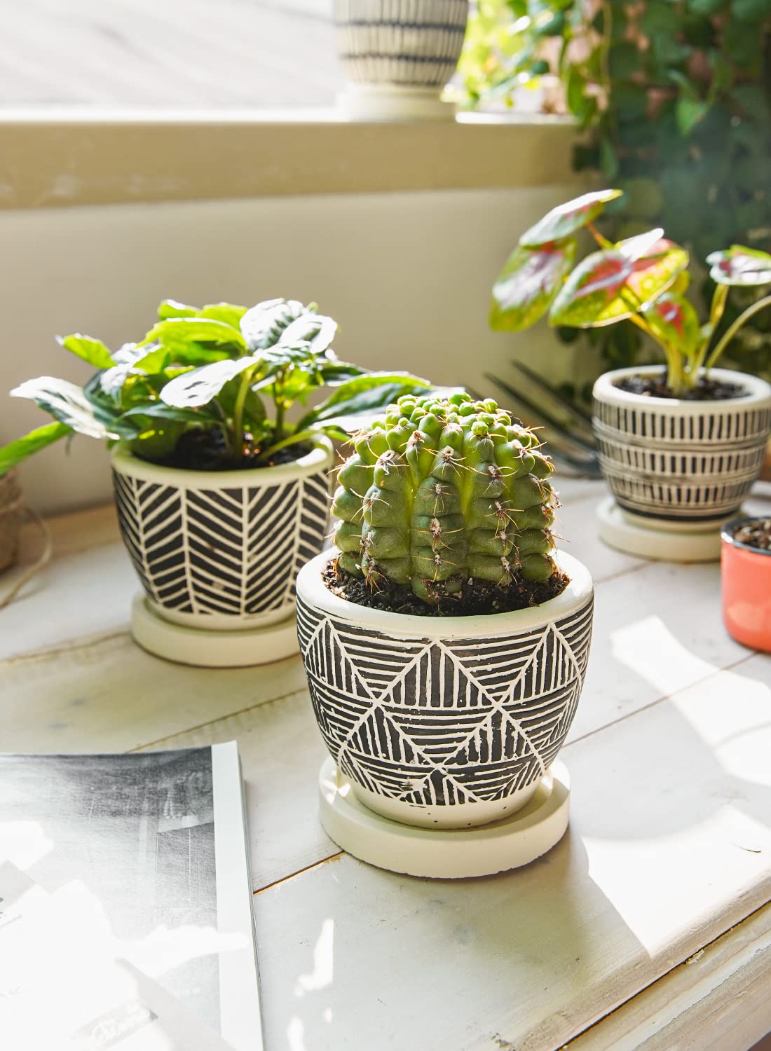 LE TAUCI Set of 4 Plant Pots, 3.5" Succulent Pots with Drainage Hole & Saucer, Boho Style Indoor Plant Pots for Plants Cactus