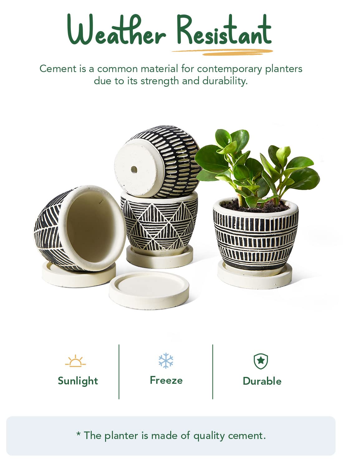 LE TAUCI Set of 4 Plant Pots, 3.5" Succulent Pots with Drainage Hole & Saucer, Boho Style Indoor Plant Pots for Plants Cactus