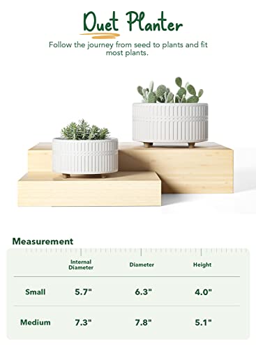 BEMAY Succulent Pots, 6.5+8 inch Ceramic Plant Pots with Drainage Hole, Decorative Flower Pots, Pack of 2, Crude White