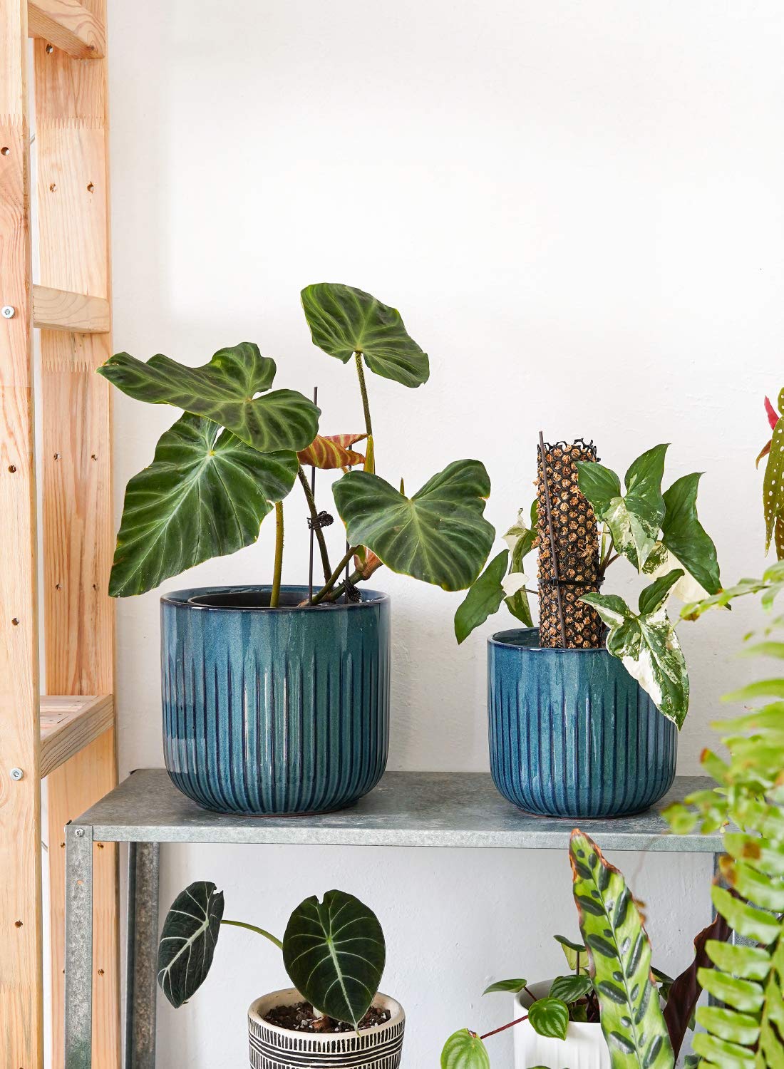 BEMAY Ceramic Planters, Set of 3 Plant Pots for Indoor Plants, 8.3+6.9+5.7 inch Flower Pots with Drainage Holes, Medium Cylinder Planters Pot for Indoor House Plants,Glaze Ocean Blue