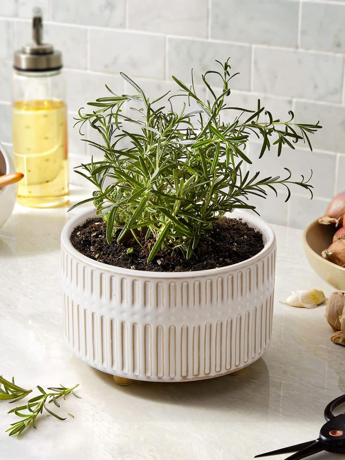 Succulent Pots, 6.5+8 Inch Ceramic Indoor Plant Pot with Drainage Hole, Modern Round Decorative Flower Pot, Gifts for Mom, Set of 2, Reactive Glaze White