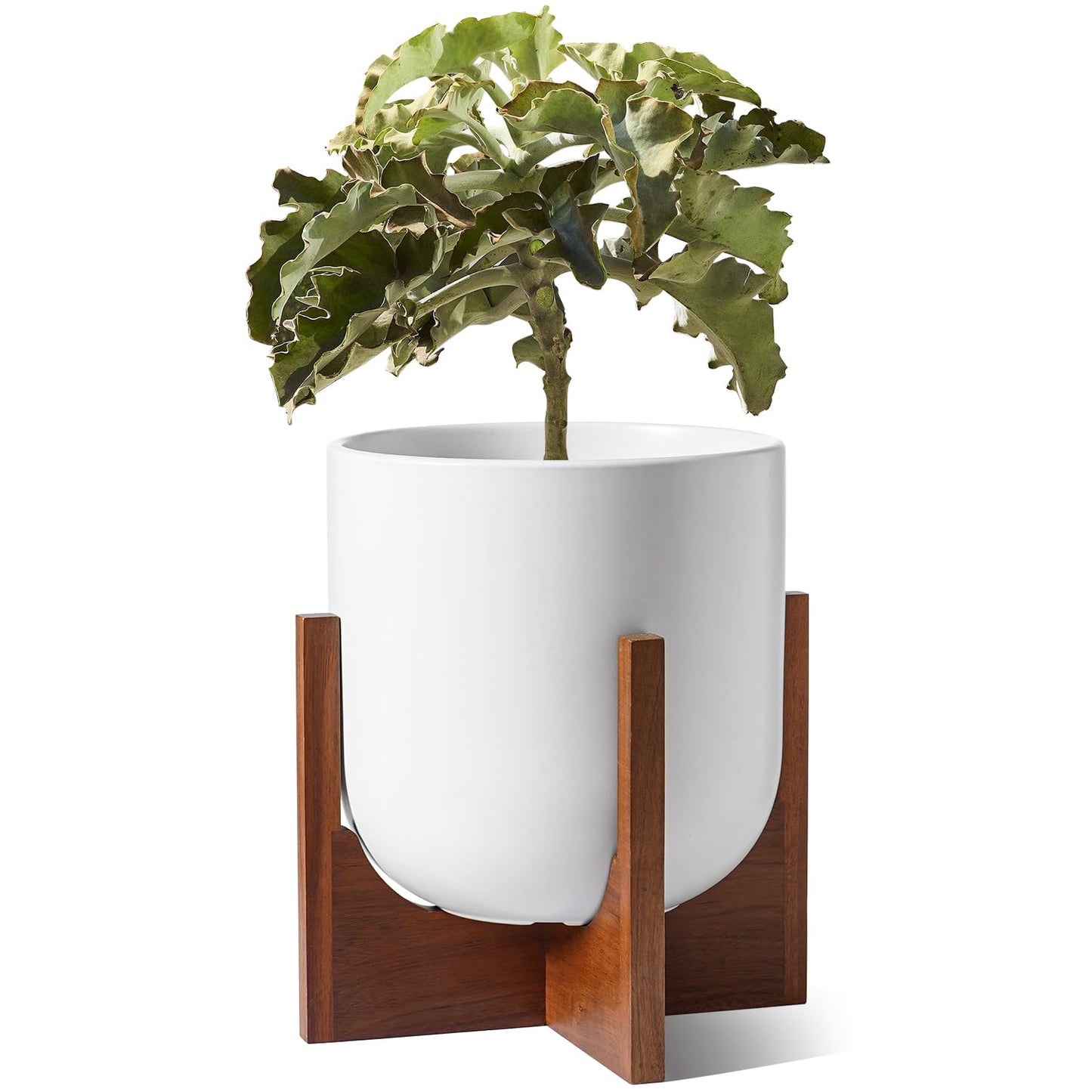 BEMAY 10 Inch White Ceramic Plant Pot with Acacia Wood Stand - Mid Century Modern Indoor Planter with Drainage Hole & Plug, Home Decor for Plants