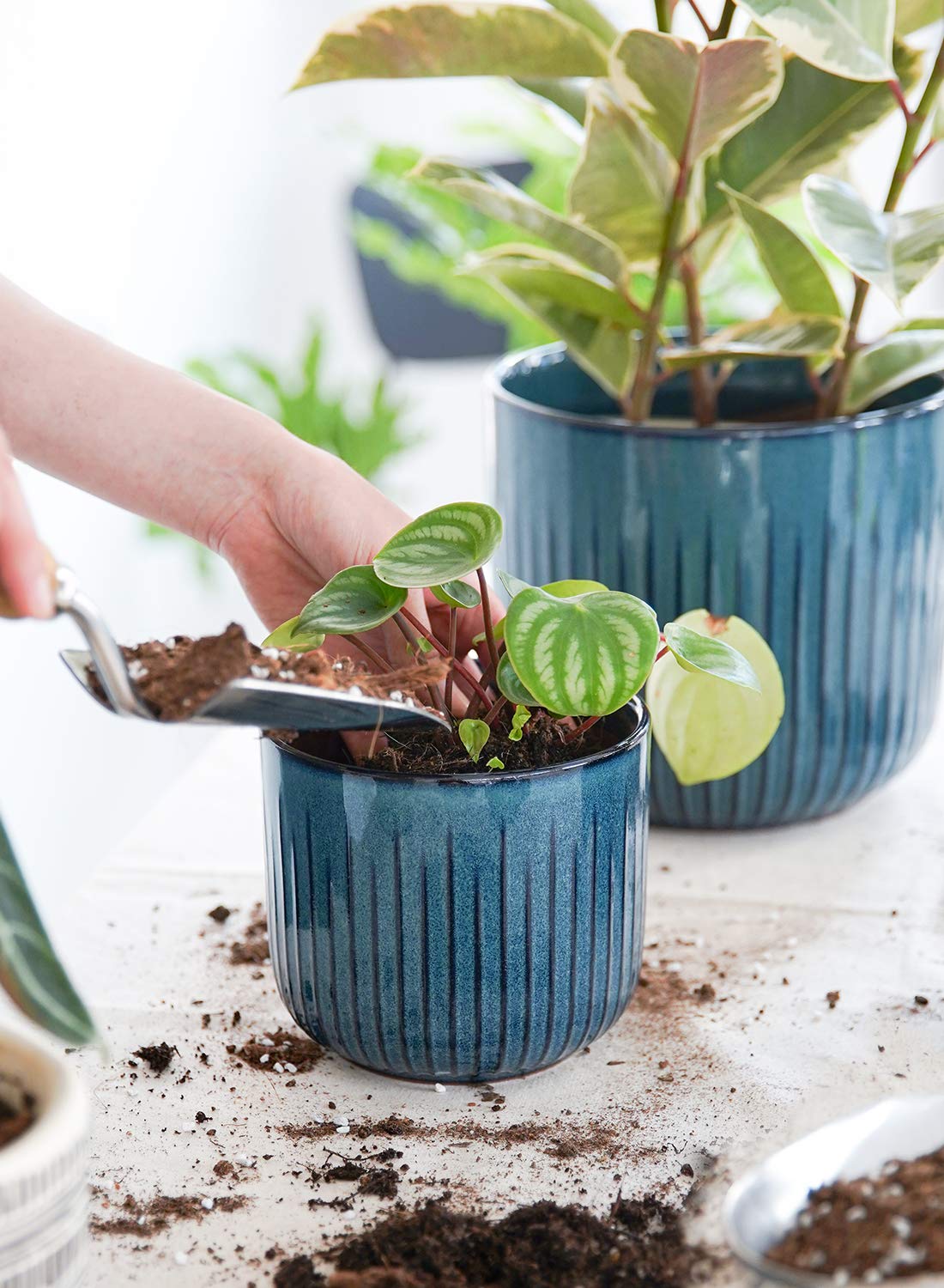 BEMAY Ceramic Planters, Set of 3 Plant Pots for Indoor Plants, 8.3+6.9+5.7 inch Flower Pots with Drainage Holes, Medium Cylinder Planters Pot for Indoor House Plants,Glaze Ocean Blue