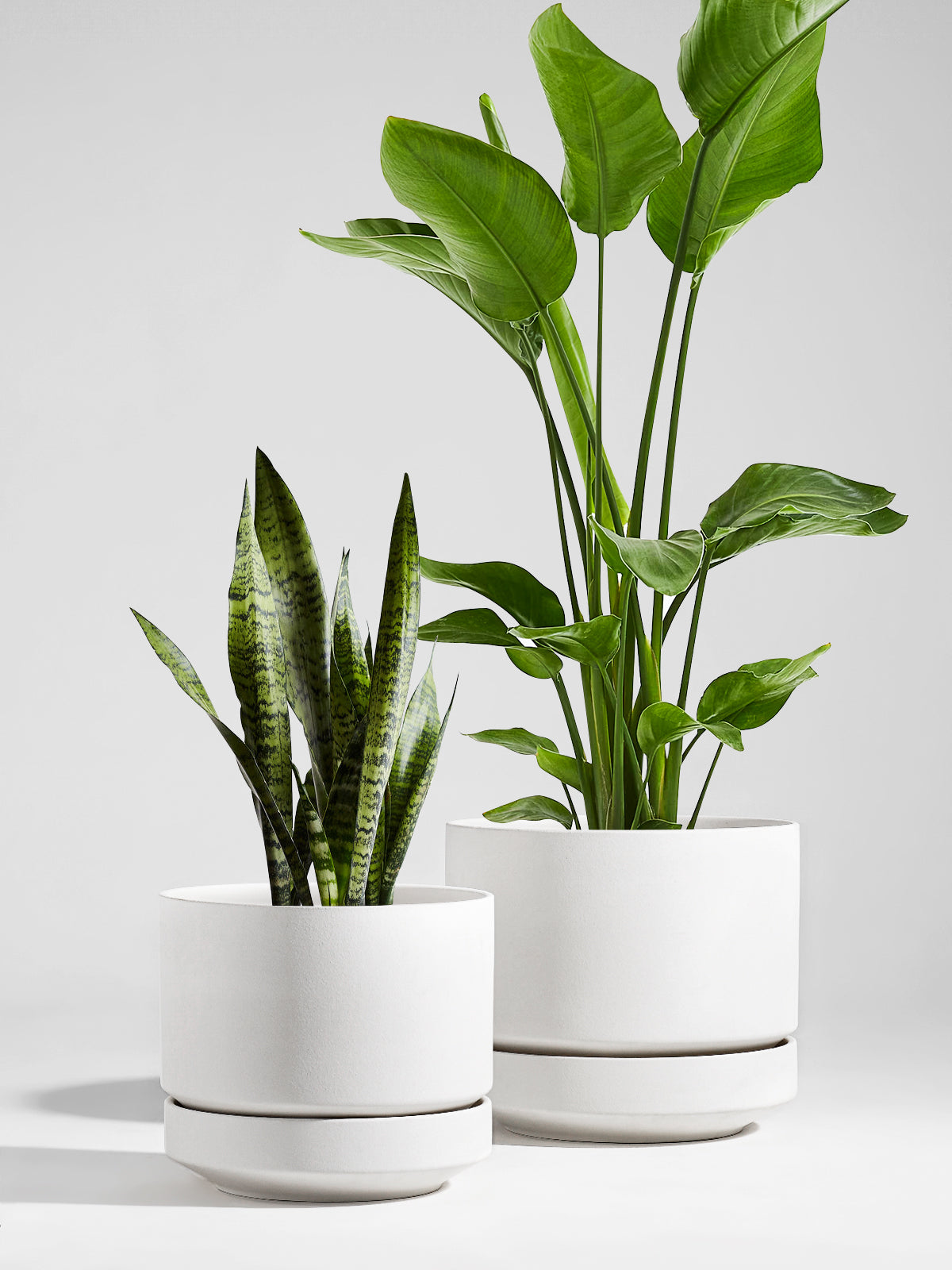 BEMAY 14" White Ceramic Plant Pot with Drainage & Saucer, Large Indoor Plant Pot for Floor Plants, Modern Minimalist Planter Pot