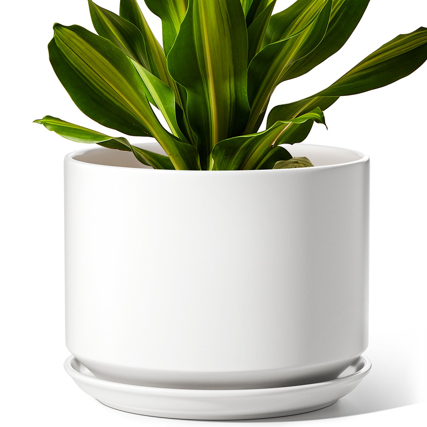 BEMAY 8 Inch Plant Pot for Indoor Plants, Ceramic Planter Pot with Drainage Hole and Attached Saucer, White Tabletop Flower Pot for Herbs, Succulents and Houseplants, Plant Not Included