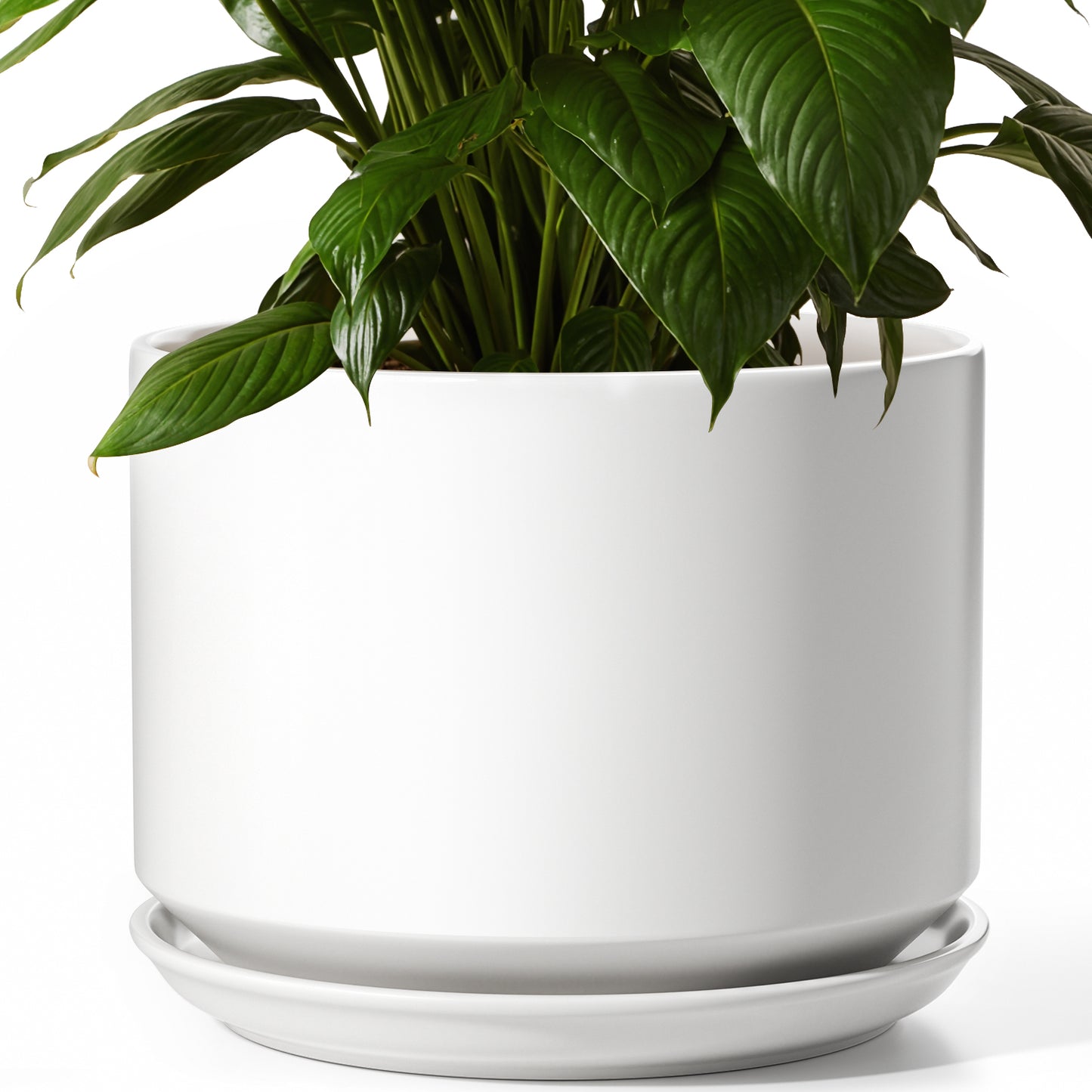 BEMAY 10 Inch Large Plant Pot for Indoor Plants, Ceramic Planter Pot with Drainage Hole and Attached Saucer, White Floor Planter for Snake Plants, Monstera and Houseplants, Plant Not Included