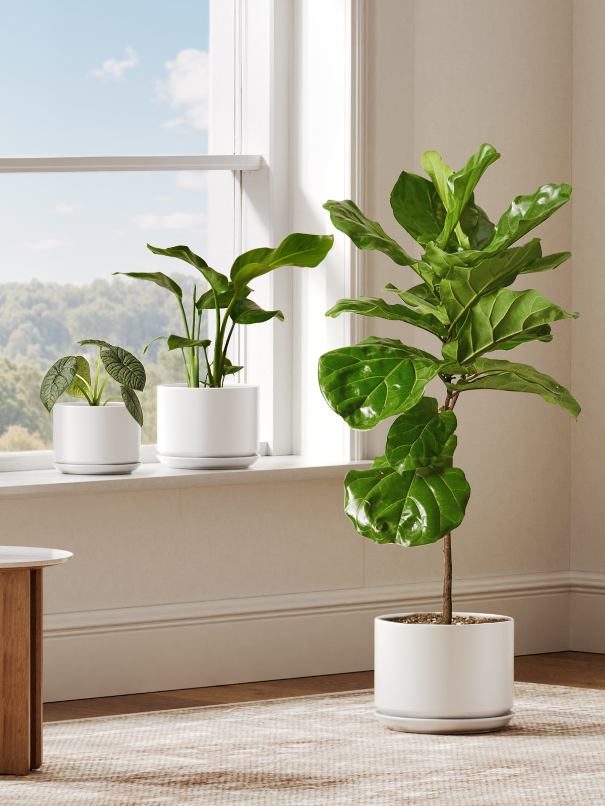 BEMAY 10 Inch Large Plant Pot for Indoor Plants, Ceramic Planter Pot with Drainage Hole and Attached Saucer, White Floor Planter for Snake Plants, Monstera and Houseplants, Plant Not Included