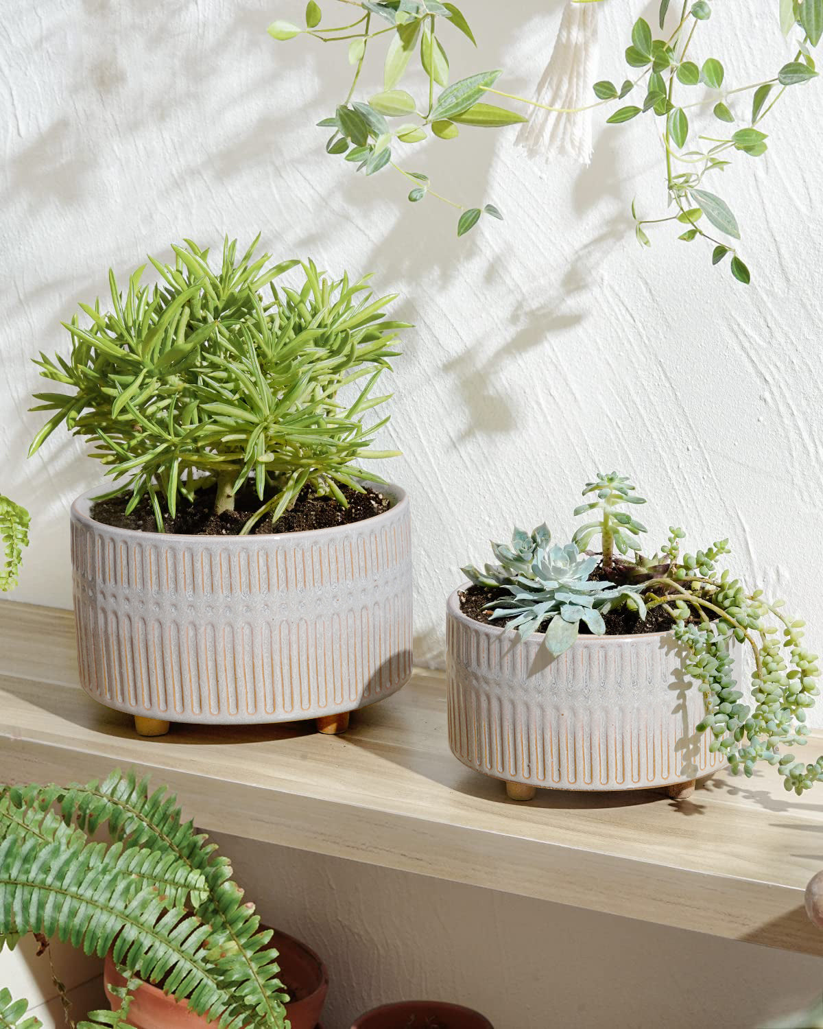 BEMAY 2-Pack Ceramic Succulent Pots with Drainage Holes, 6.3 in and 7.8 in Star White Indoor Planters with Mesh Pads and Silicone Plugs, Plant Pots for Cactus, Herbs and Houseplants
