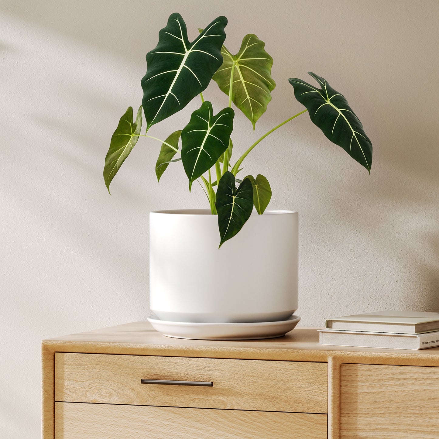BEMAY 8 Inch Plant Pot for Indoor Plants, Ceramic Planter Pot with Drainage Hole and Attached Saucer, White Tabletop Flower Pot for Herbs, Succulents and Houseplants, Plant Not Included