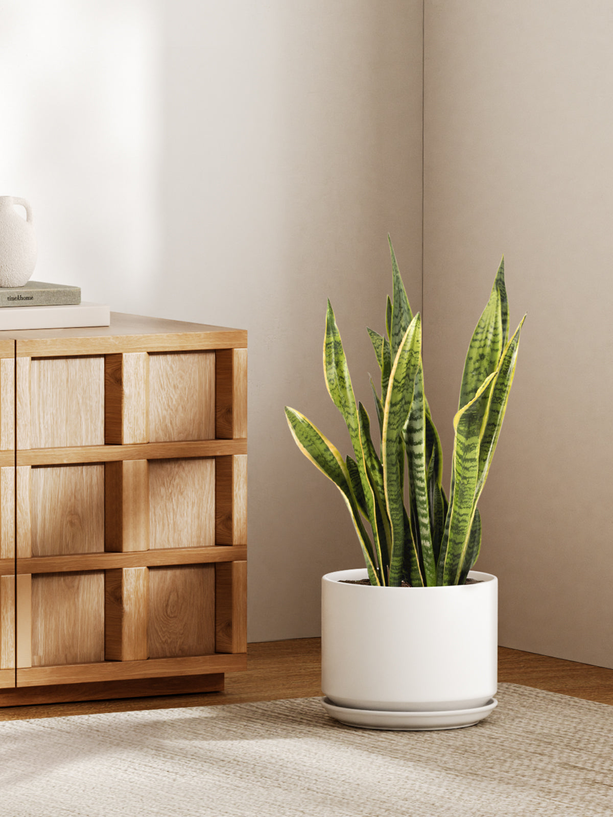 BEMAY 10 Inch Large Plant Pot for Indoor Plants, Ceramic Planter Pot with Drainage Hole and Attached Saucer, White Floor Planter for Snake Plants, Monstera and Houseplants, Plant Not Included