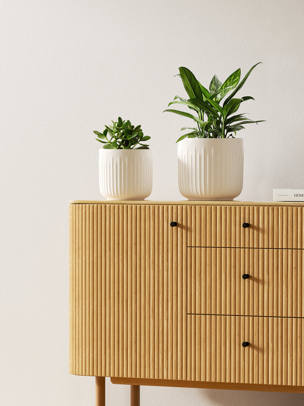 BEMAY Set of 3 Pots for Plants, 8.3+6.9+5.7 inch Ceramic Plant Pots, Flower Pots with Drainage Holes, Medium Cylinder Planters Pot for Indoor House Plants, Set of 3,White