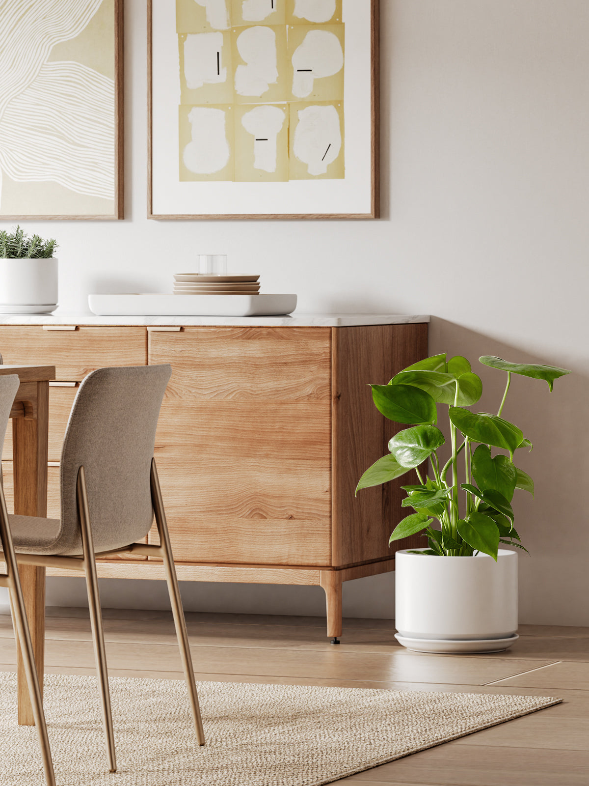 BEMAY 10 Inch Large Plant Pot for Indoor Plants, Ceramic Planter Pot with Drainage Hole and Attached Saucer, White Floor Planter for Snake Plants, Monstera and Houseplants, Plant Not Included