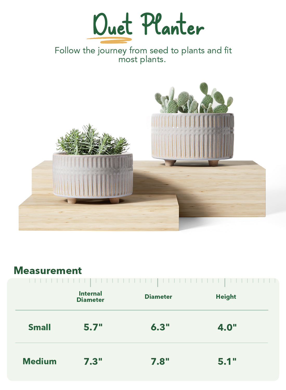 BEMAY 2-Pack Ceramic Succulent Pots with Drainage Holes, 6.3 in and 7.8 in Star White Indoor Planters with Mesh Pads and Silicone Plugs, Plant Pots for Cactus, Herbs and Houseplants