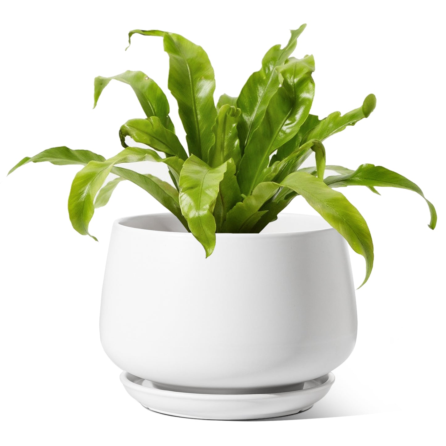 BEMAY 10" White Ceramic Plant Pot with Drainage Hole and Saucer, Round Indoor Outdoor Planter for Houseplants, Flowers, Monstera, Snake Plant(Plant Not Included)