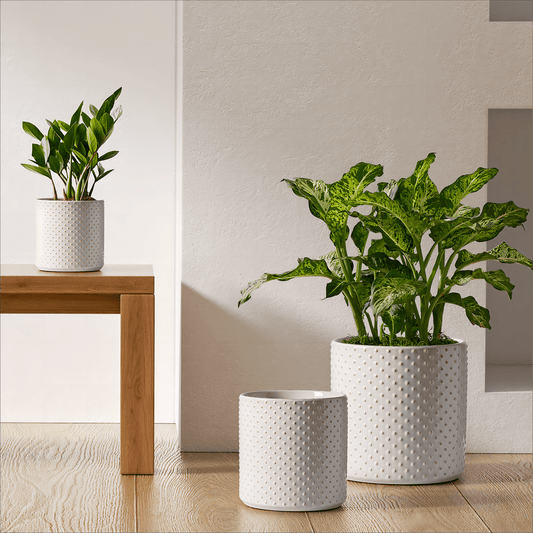 BEMAY 6+8+10 inch Plant Pots, Ceramic Flower Pots for Plants, Raised Dots Planter Pots for Home/Office, Mid-Modern Century Pots with Drainage Hole and Plug, Glaze Arctic White