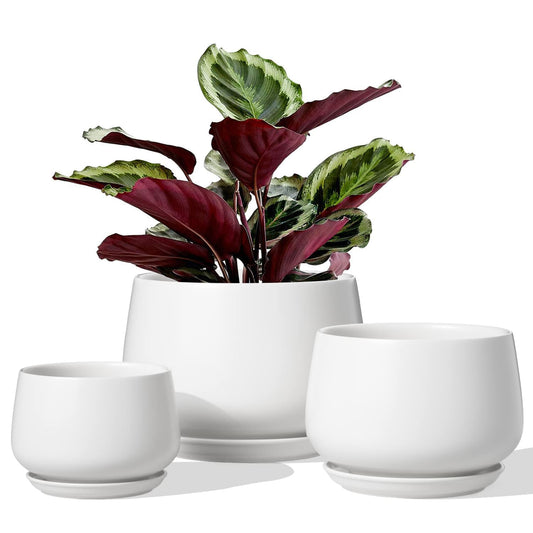 BEMAY Ceramic Plant Pots, 4.1+5.1+6.5 inch Planters with Drainage Hole & Saucer, Pack of 3 Round Flower Pots , White