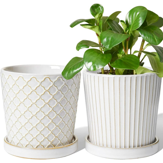 BEMAY Ceramic Plant Pots, 5.5 inch Flower Pots, Indoor Planters with Drainage Hole and Saucer, Pack of 2 Pots for Home Decor, Reactive Glaze White