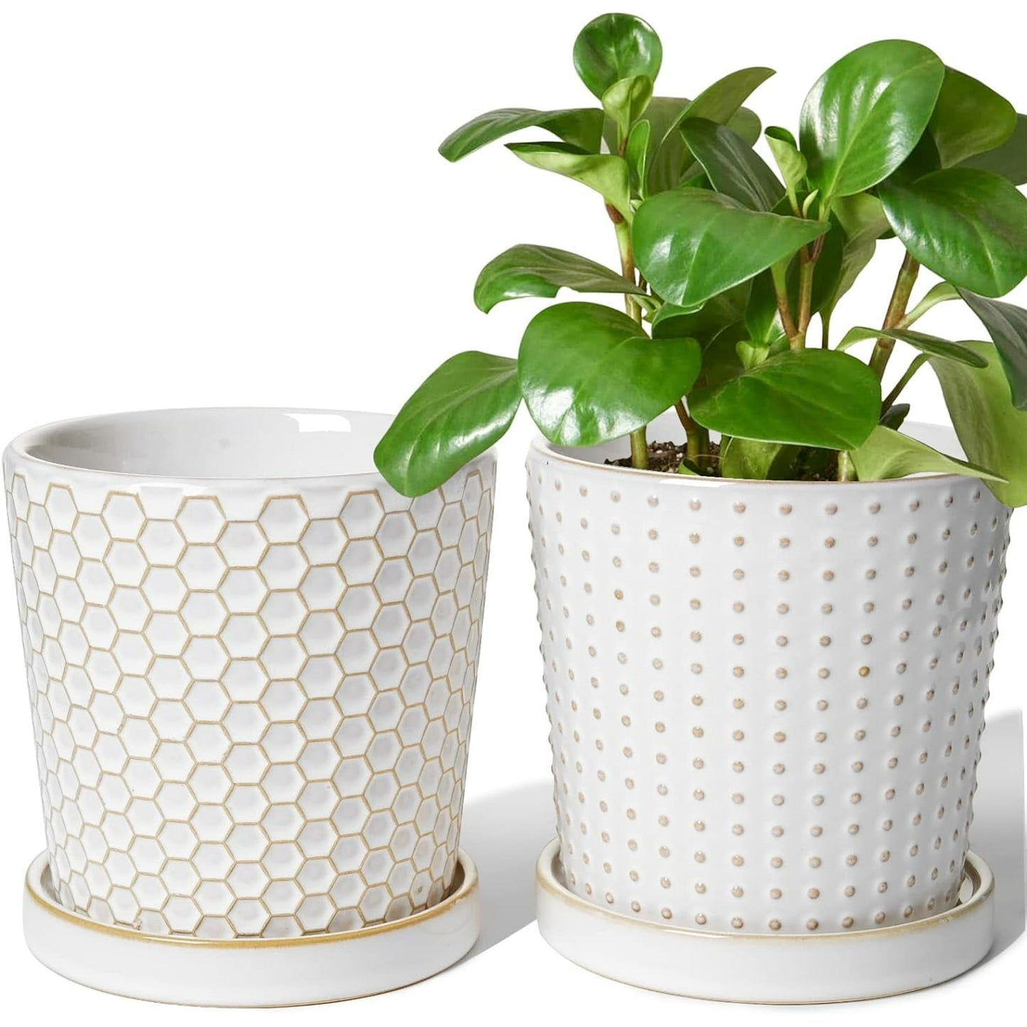 BEMAY Plant Pots, 5.5" Ceramic Flower Pots with Drainage Hole & Saucer, Pack of 2 Plant Pots,White