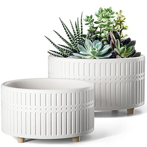 BEMAY Succulent Pots, 6.5+8 inch Ceramic Plant Pots with Drainage Hole, Decorative Flower Pots, Pack of 2, Crude White