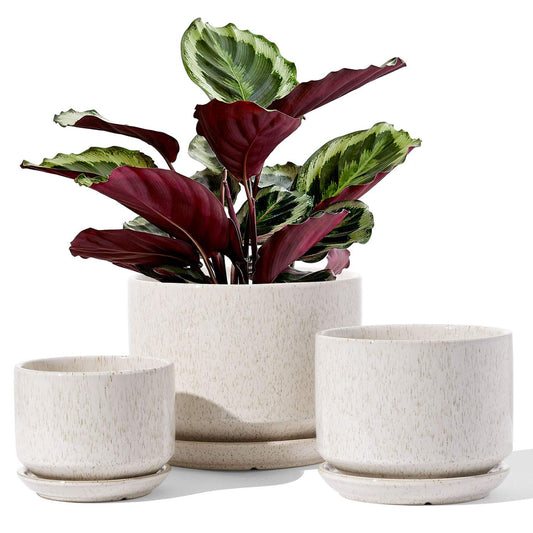 BEMAY Plant Pots, 4.3+5.3+6.8 inch Ceramic Flower Pots with Drainage Hole and Saucer, Pack of 3 Planter for Home/Patio Decor,Reactive Glaze Beige