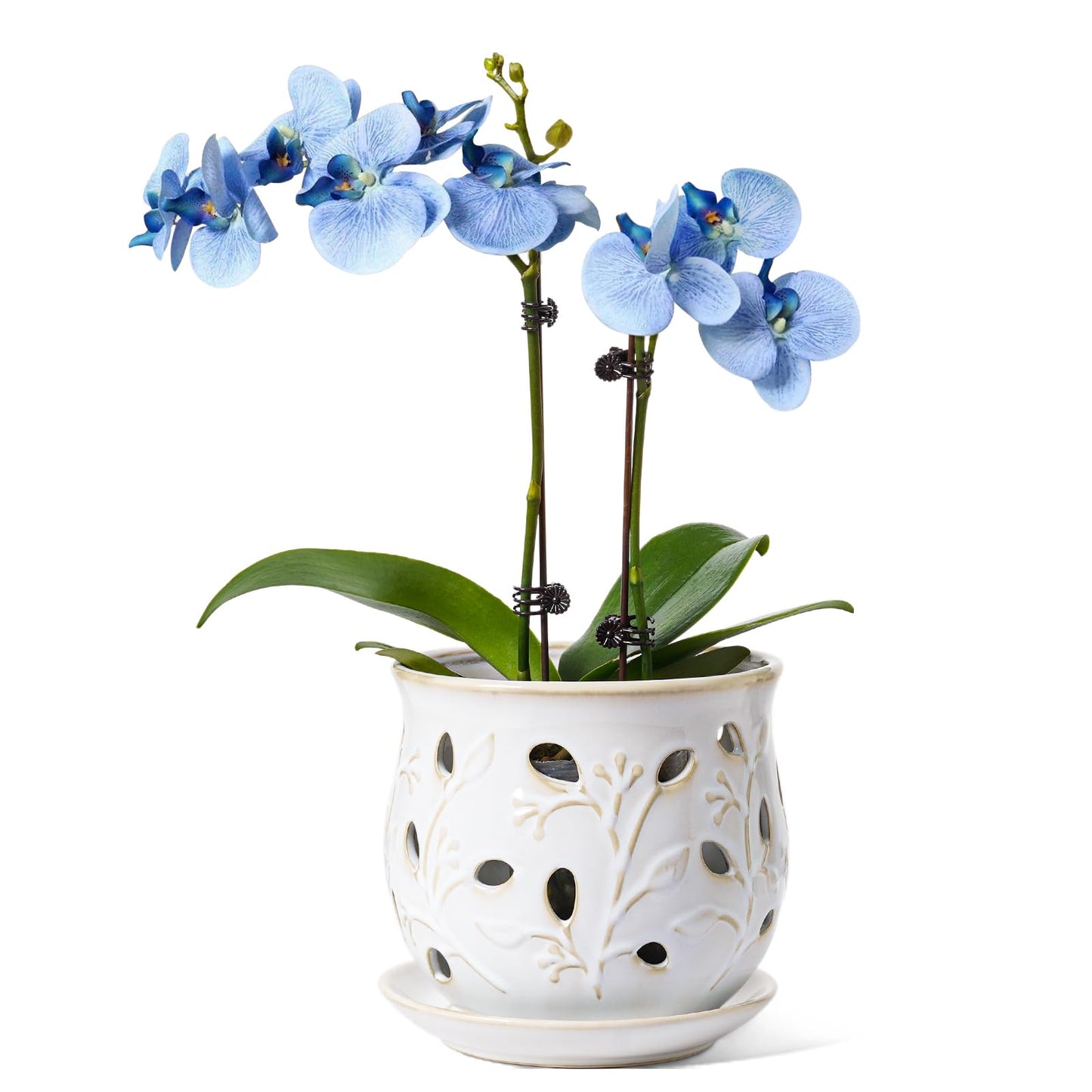 BEMAY Plant Pots,6.5" Ceramic Orchid Pot,Orchid Pots with Holes, Orchid Planter for Repotting, Indoor Flower Plant Pot with Drainage and Saucer, Arctic White