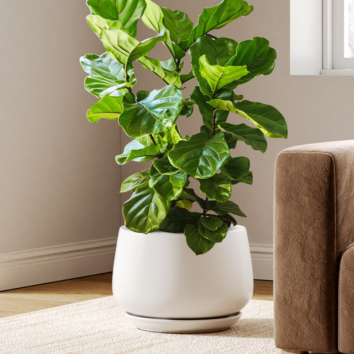 BEMAY 12" White Ceramic Plant Pot with Drainage Hole and Saucer, Round Indoor Planter for Home Decor & Planting