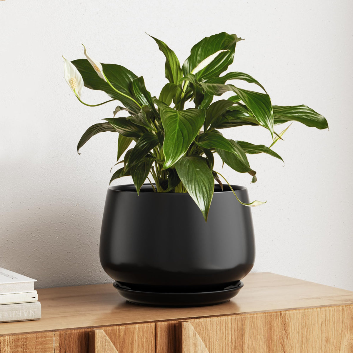 BEMAY Ceramic Plant Pot, 10" Plant Pot with Drainage Hole & Saucer, Indoor Planter for Modern Home Decor, Black