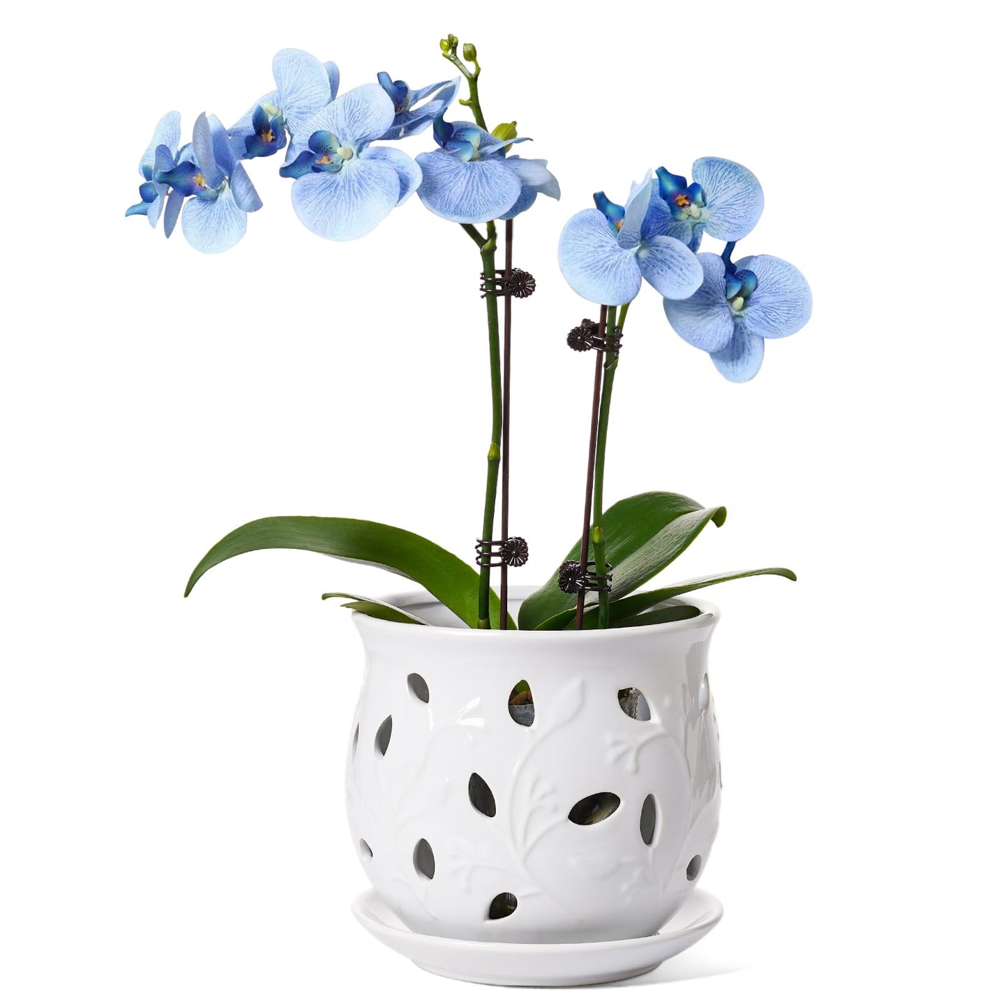 BEMAY Ceramic Orchid Pot, 6.5 inch Plant Pots with Hole, Indoor Planter for Plants, Flower Pot with Drainage and Saucer, White