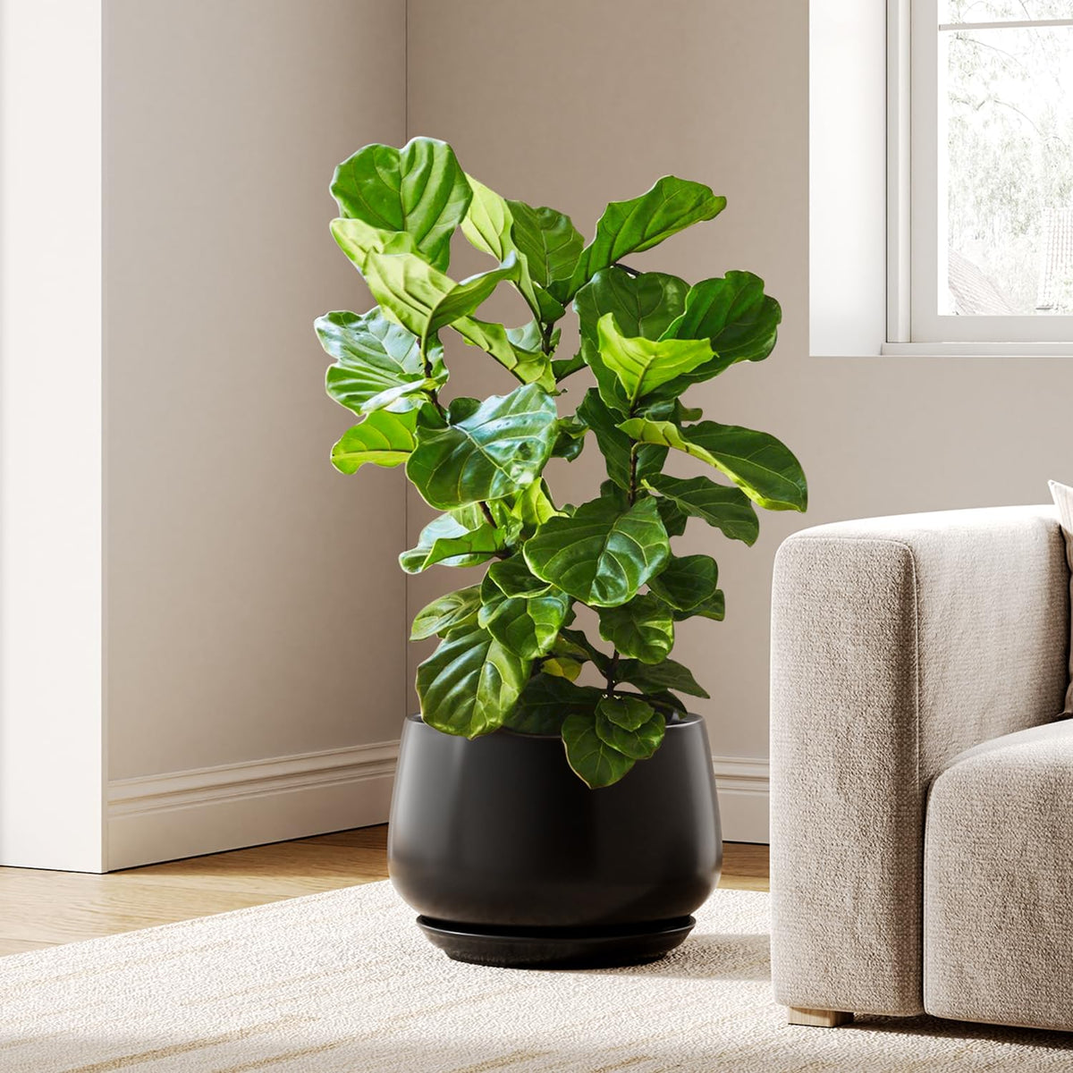 BEMAY 12" Black Plant Pot with Drainage Hole and Saucer, Modern Round Indoor Planter Living Rooms, Entryways & Home Decor