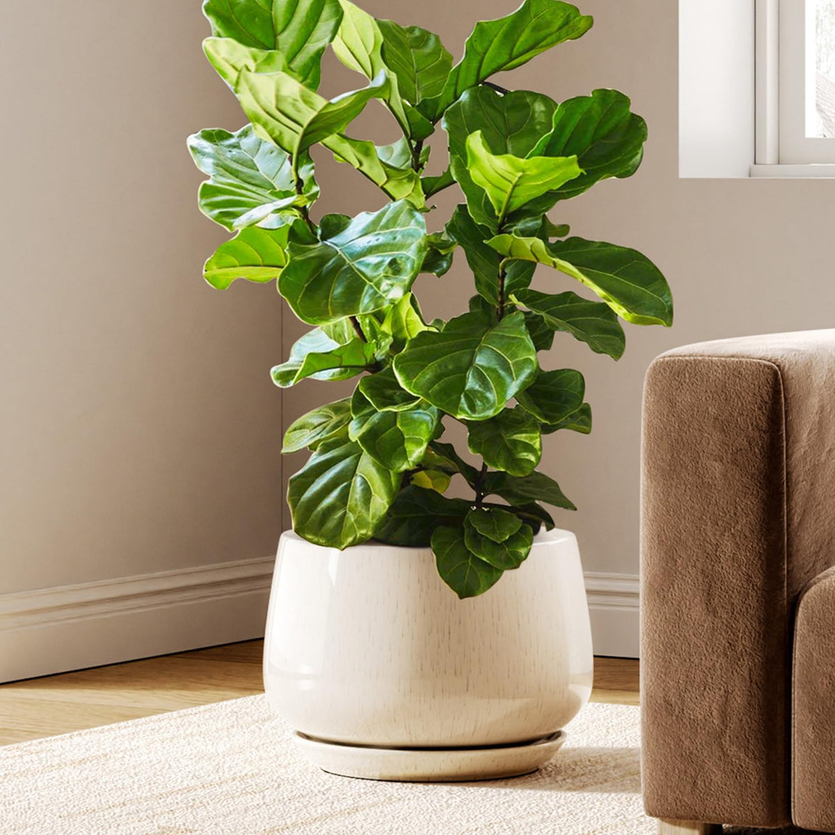 BEMAY 12" Ceramic Plant Pot with Drainage Hole and Saucer, Round Indoor Planter for Houseplants, Reactive Glaze Beige Pot for Plant