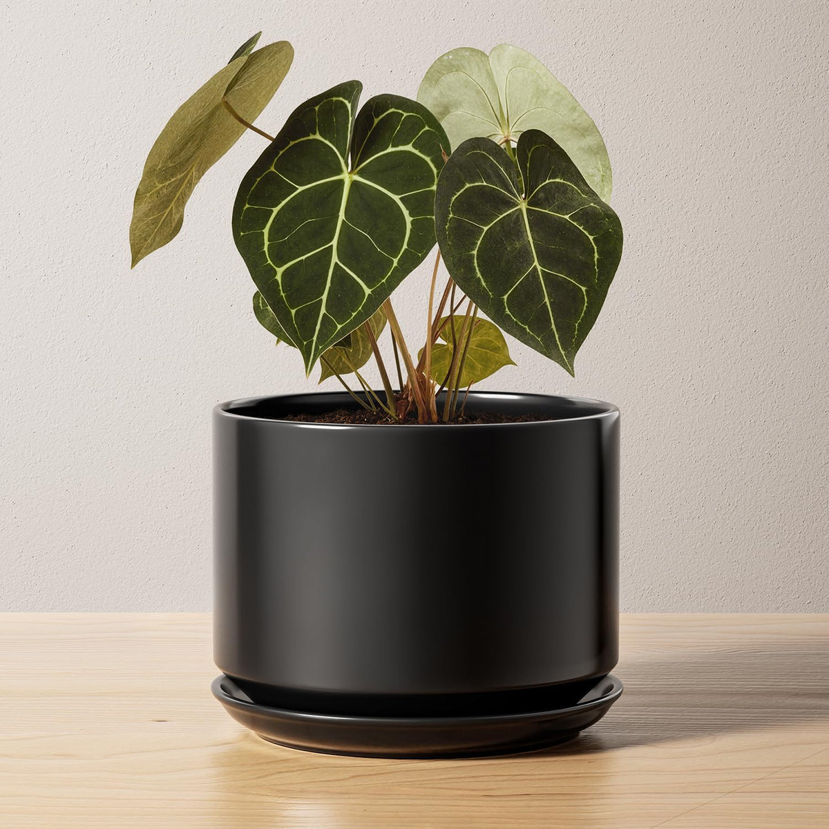 BEMAY 6.8" Ceramic Plant Pot with Drainage Hole and Attached Saucer, Black indoor Planter