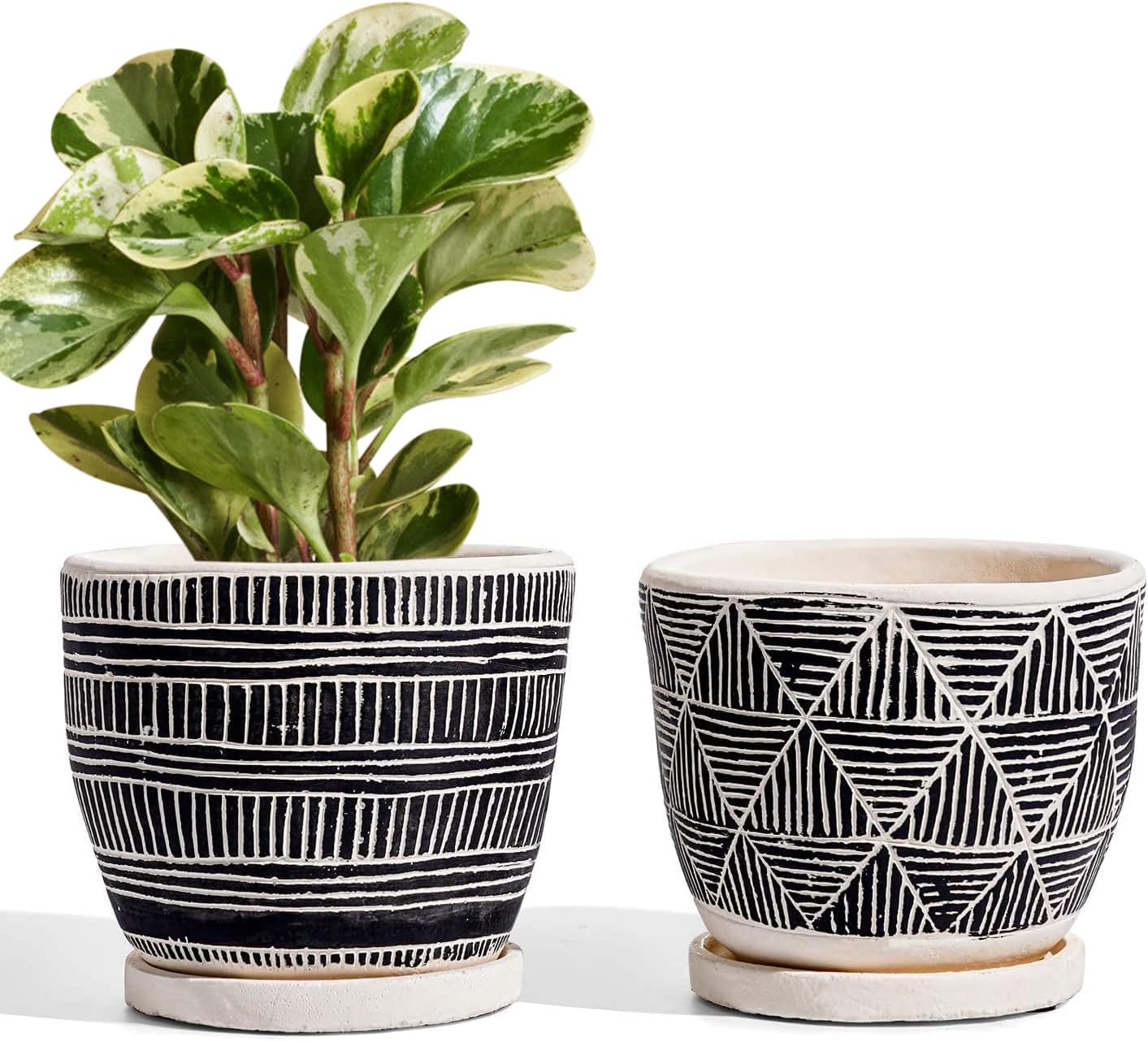 Set of 2 Plant Pots for Indoor Plants, 5.5 Inch Boho Indoor Planters, Succulent Pots with Drainage Holes & Saucers, Black Cement Flower Pots for Home & Office
