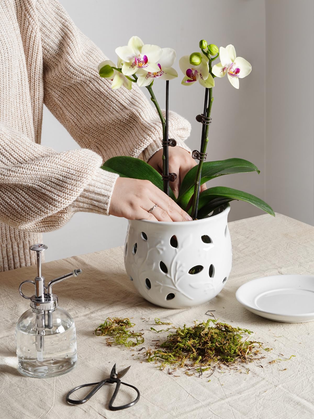 BEMAY Ceramic Orchid Pot, 6.5 inch Plant Pots with Hole, Indoor Planter for Plants, Flower Pot with Drainage and Saucer, White