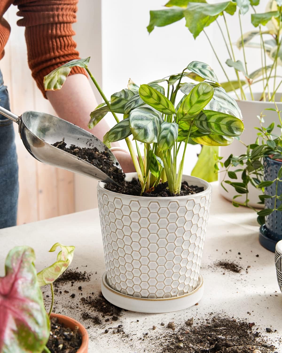BEMAY Plant Pots, 5.5" Ceramic Flower Pots with Drainage Hole & Saucer, Pack of 2 Plant Pots,White