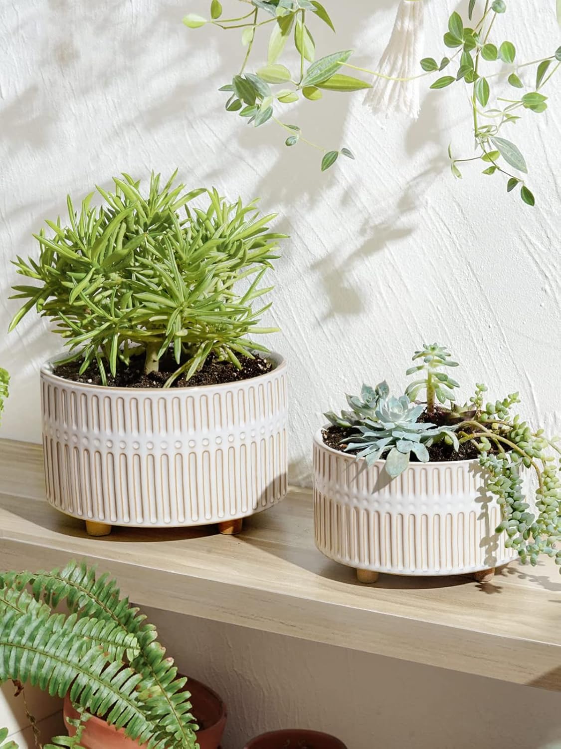 8 inch plant pot ceramic Succulent Pots, 6.5+8 Inch Ceramic Indoor Plant Pot with Drainage Hole – BEMAY