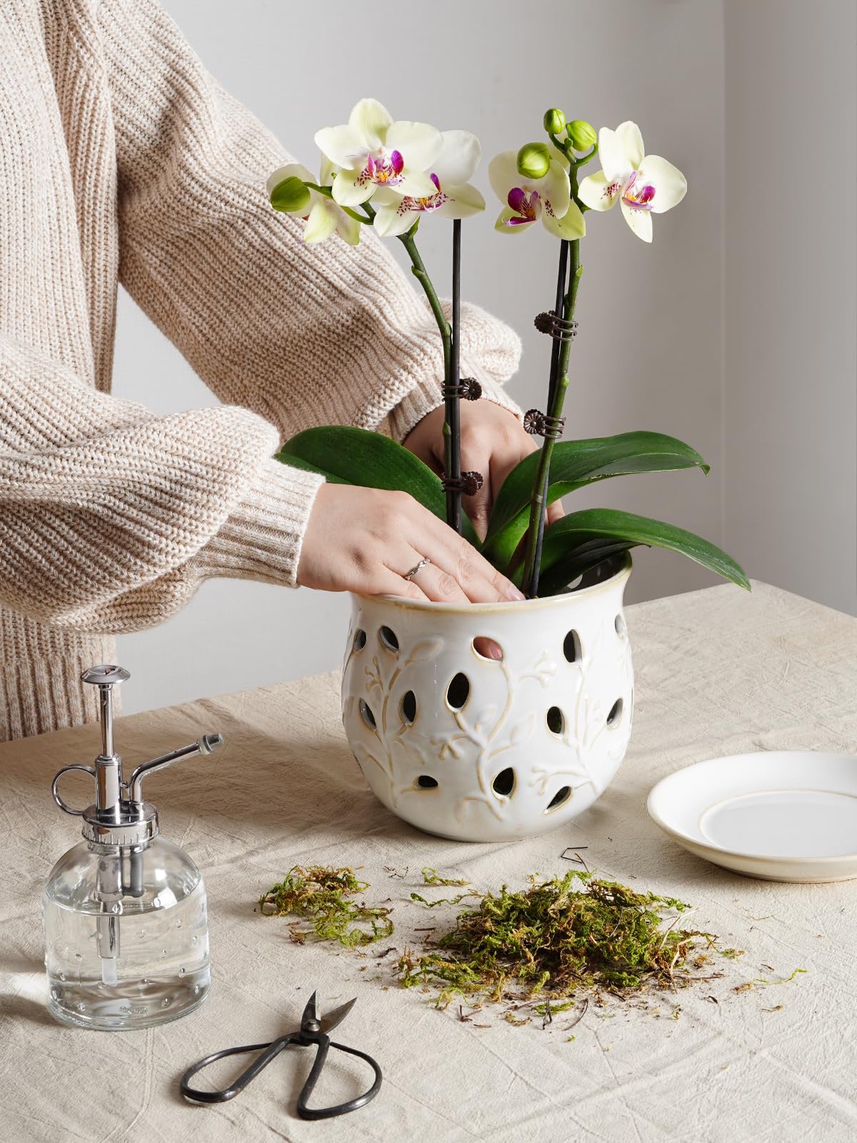 BEMAY Plant Pots,6.5" Ceramic Orchid Pot,Orchid Pots with Holes, Orchid Planter for Repotting, Indoor Flower Plant Pot with Drainage and Saucer, Arctic White