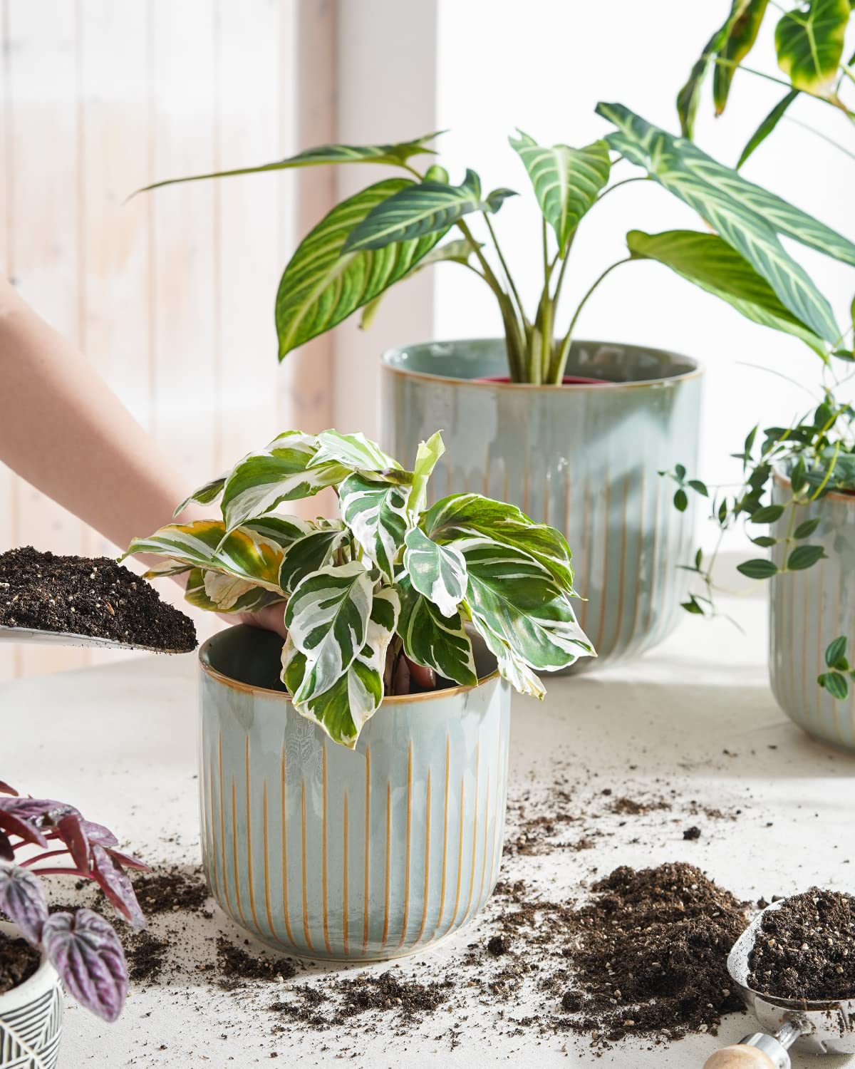 BEMAY Ceramic Plant Pots, Set of 3 Indoor Planters with Drainage Holes for Snake Plant and Pothos Flower Pots, Mist Gray Pot for Plant