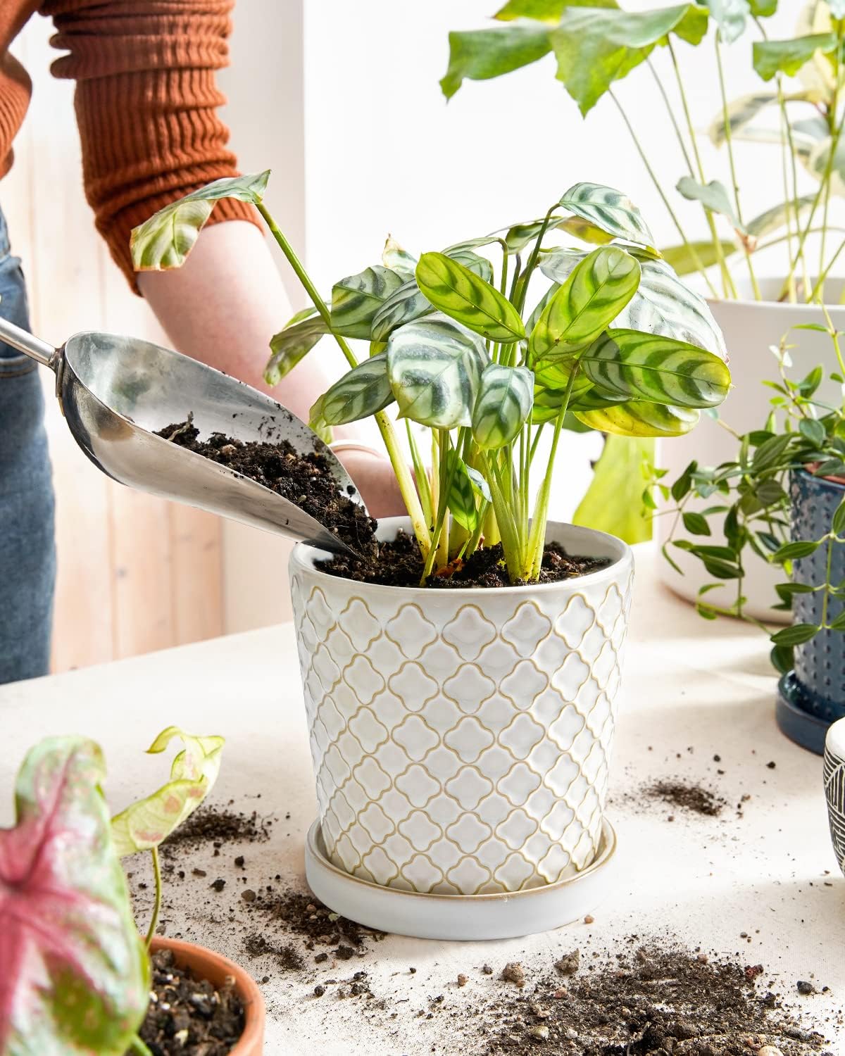 BEMAY Ceramic Plant Pots, 5.5 inch Flower Pots, Indoor Planters with Drainage Hole and Saucer, Pack of 2 Pots for Home Decor, Reactive Glaze White
