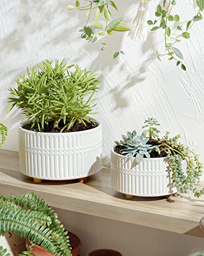 8 inch white plant pot BEMAY Succulent Pots, 6.5+8 inch Ceramic Plant Pots with Drainage Hole