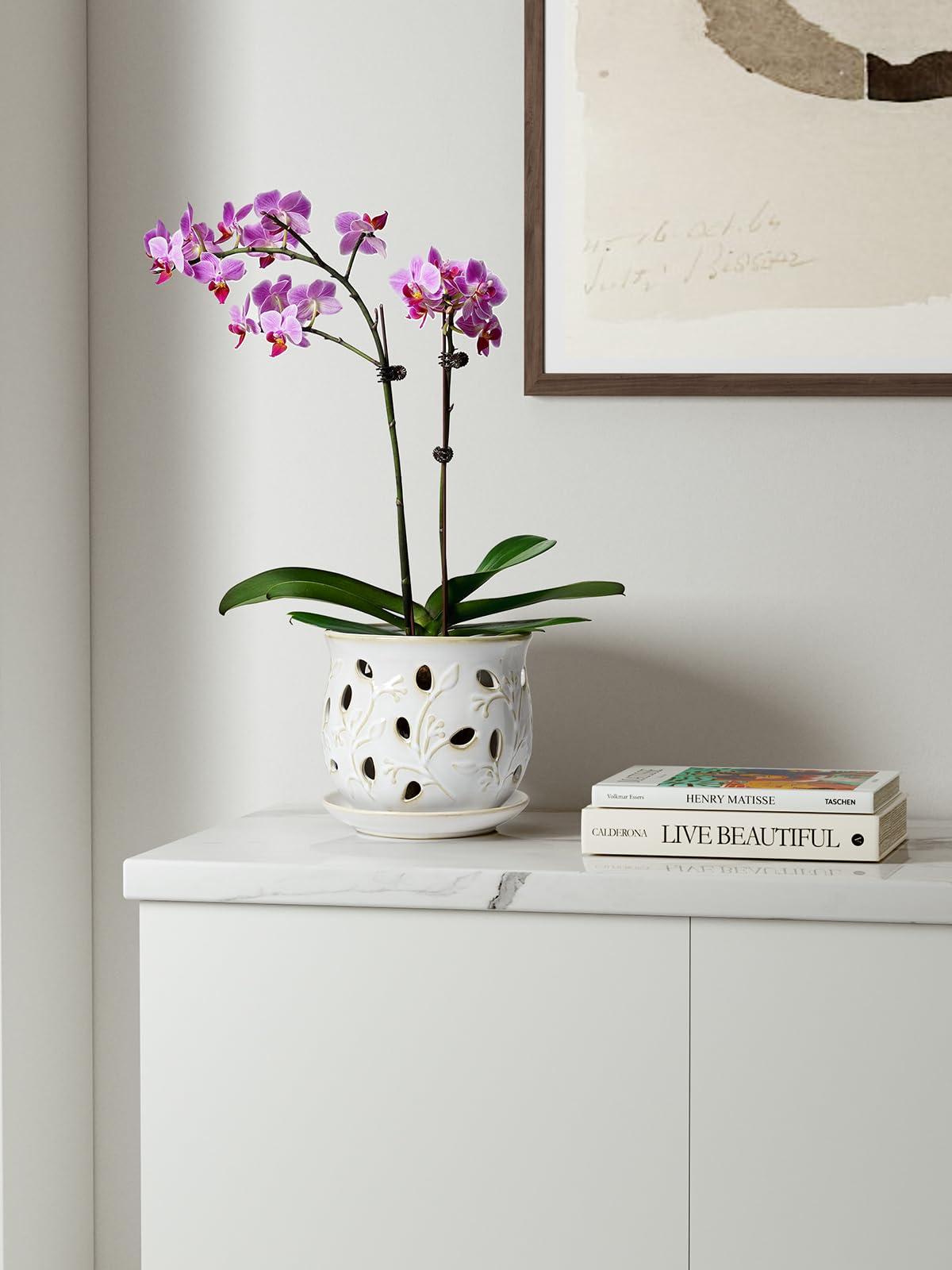 BEMAY Plant Pots,6.5" Ceramic Orchid Pot,Orchid Pots with Holes, Orchid Planter for Repotting, Indoor Flower Plant Pot with Drainage and Saucer, Arctic White