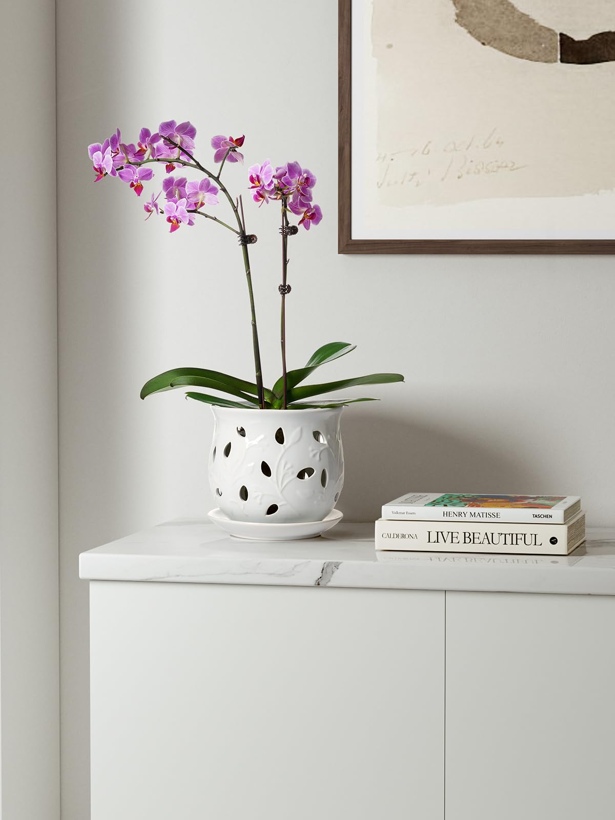 BEMAY Ceramic Orchid Pot, 6.5 inch Plant Pots with Hole, Indoor Planter for Plants, Flower Pot with Drainage and Saucer, White